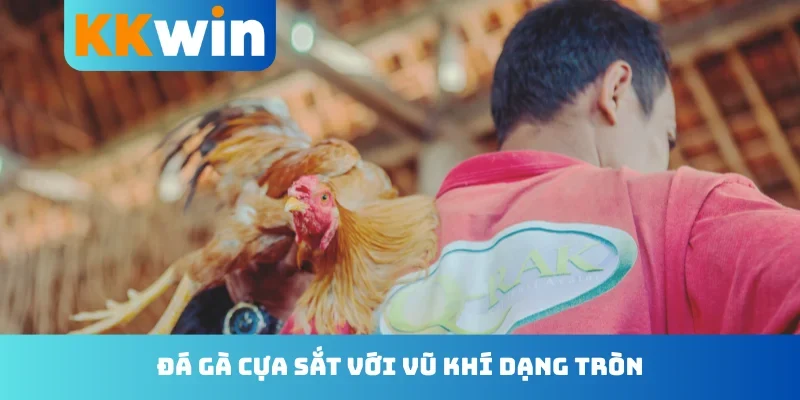 Đá gà cựa sắt với vũ khí dạng tròn