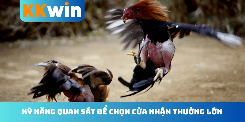 Kỹ năng quan sát để chọn cửa nhận thưởng lớn